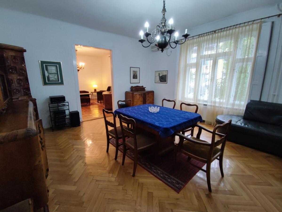 Vintage Apartment In The Center Of Нови-Сад Экстерьер фото